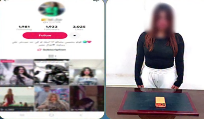 ضبط صانعة محتوى بالجيزة بتهمة نشر مقاطع فيديو خادشة للحياء عبر مواقع التواصل